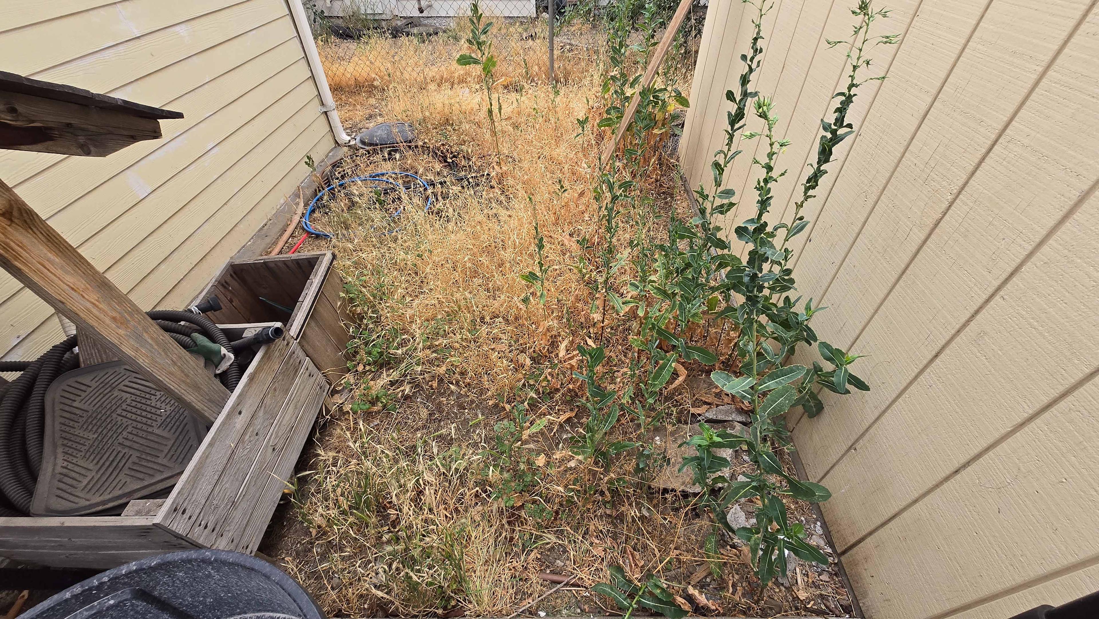 Cleanup project photo 1