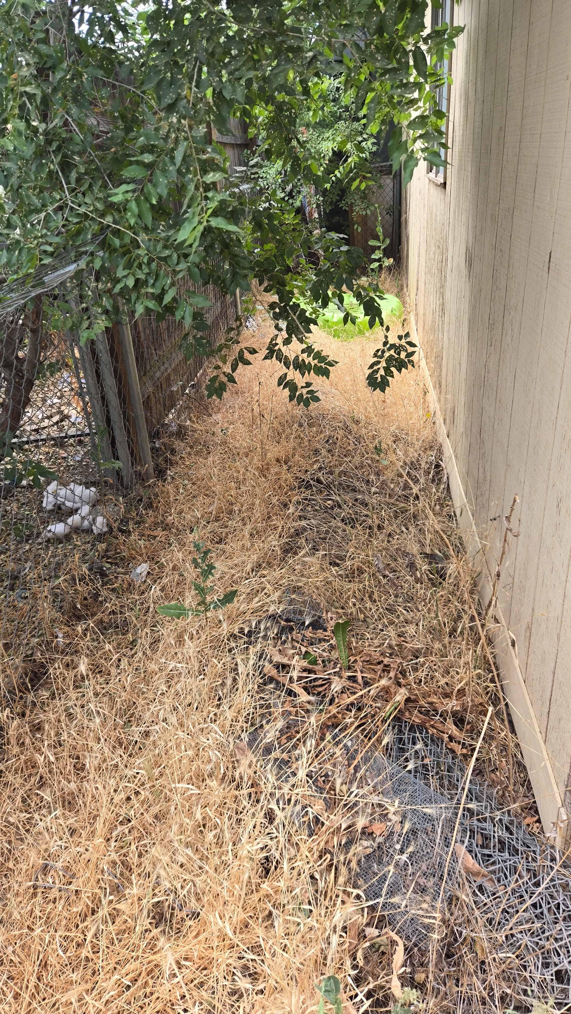 Before Cleanup Turnaround — Yakima