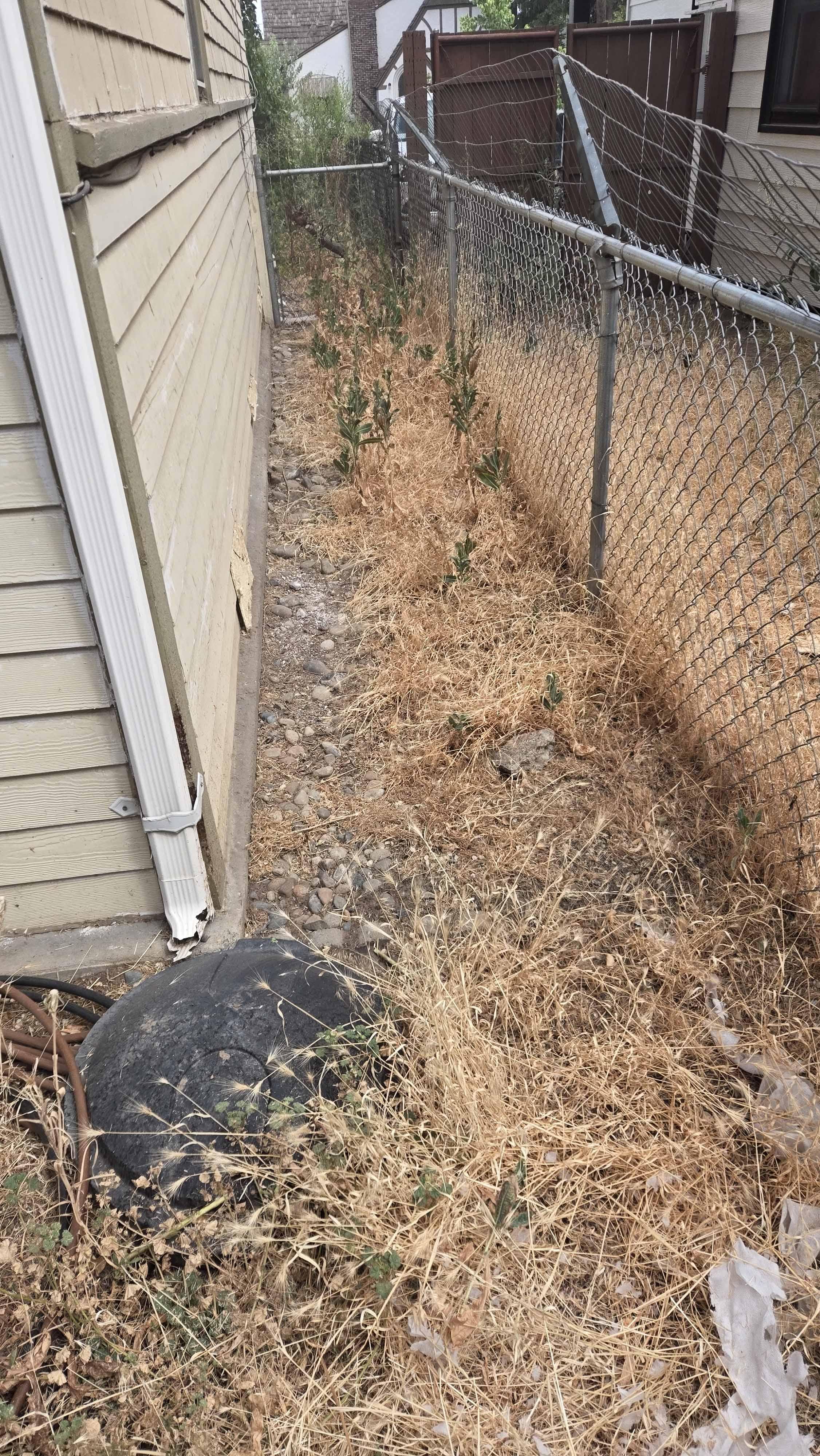 Cleanup project photo 3