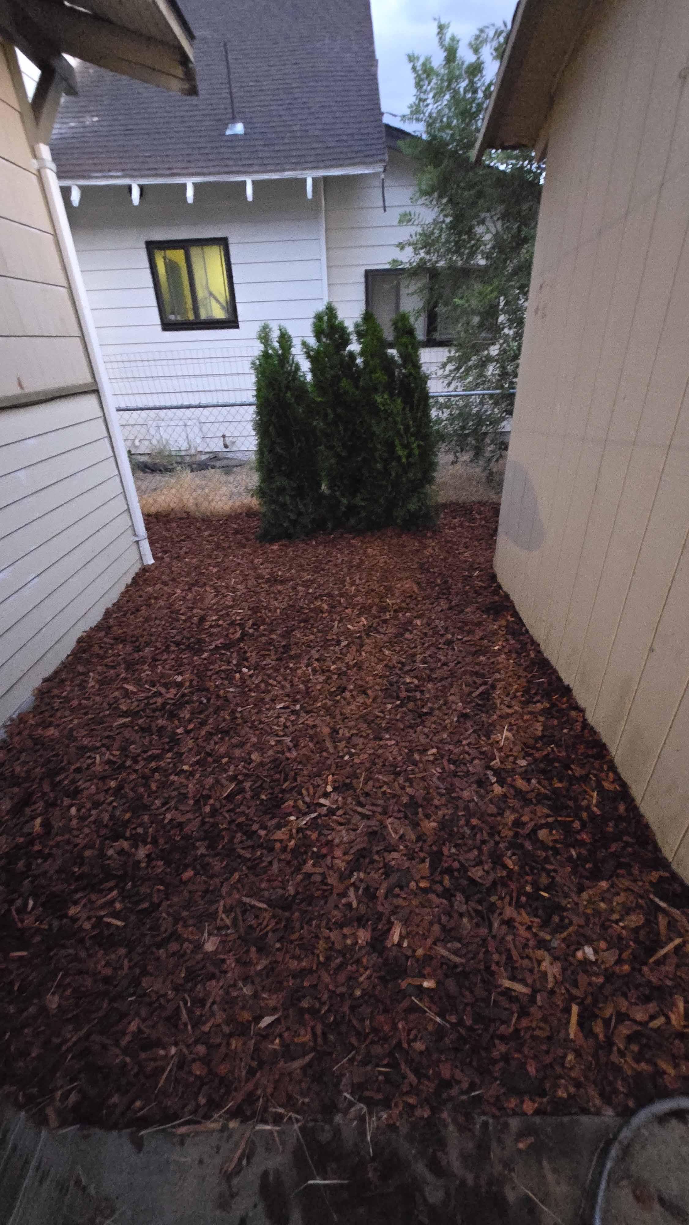 Cleanup project photo 6