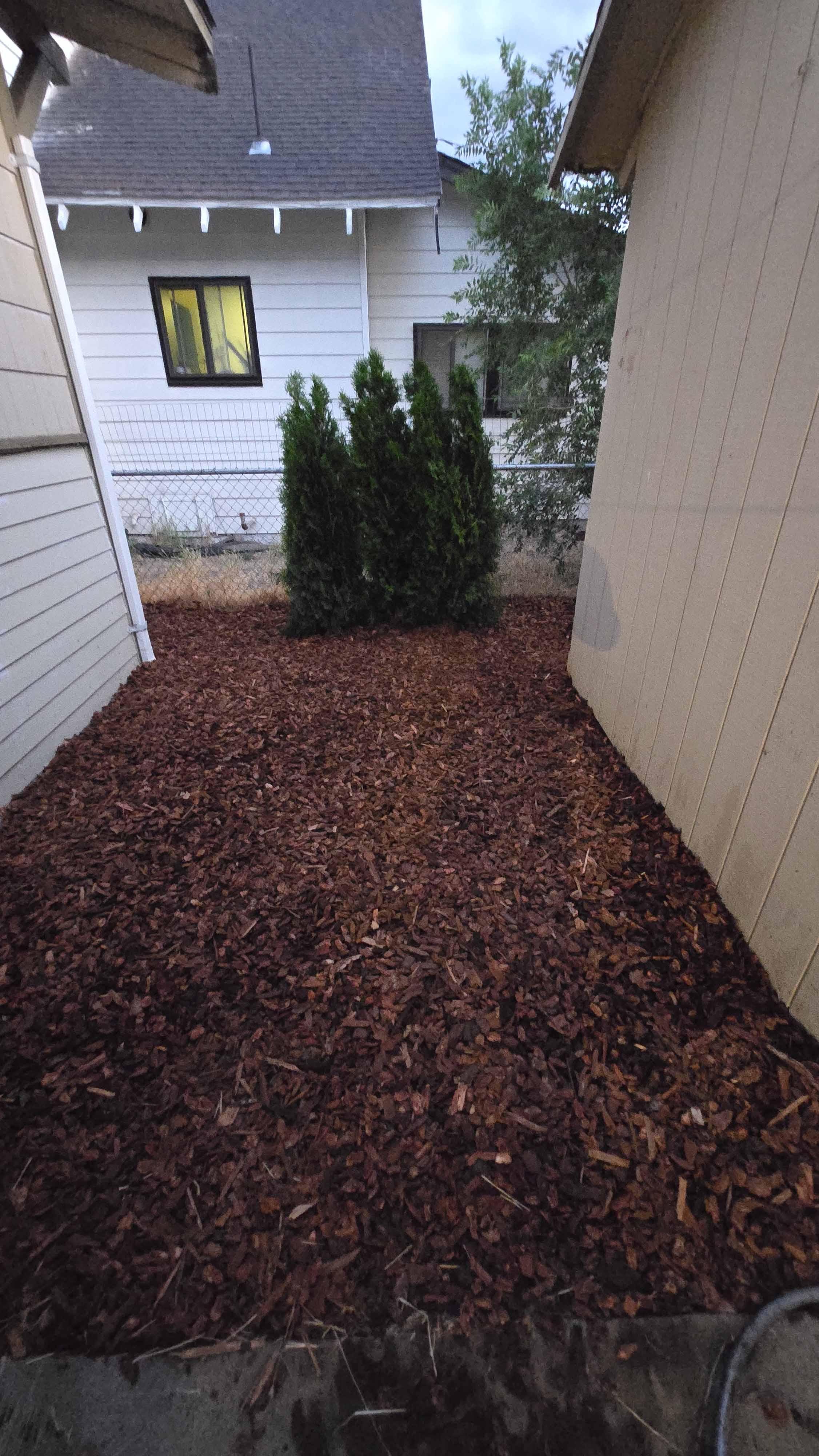 Cleanup project photo 7