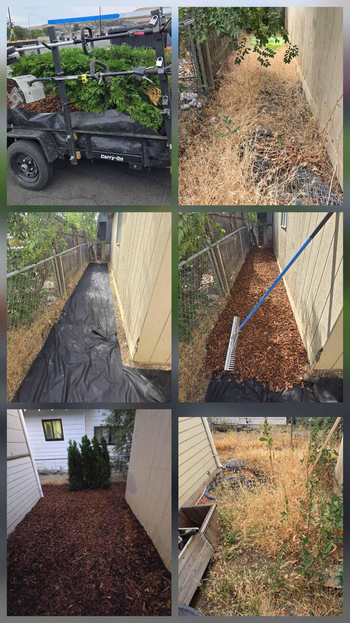 Yard cleanup service results