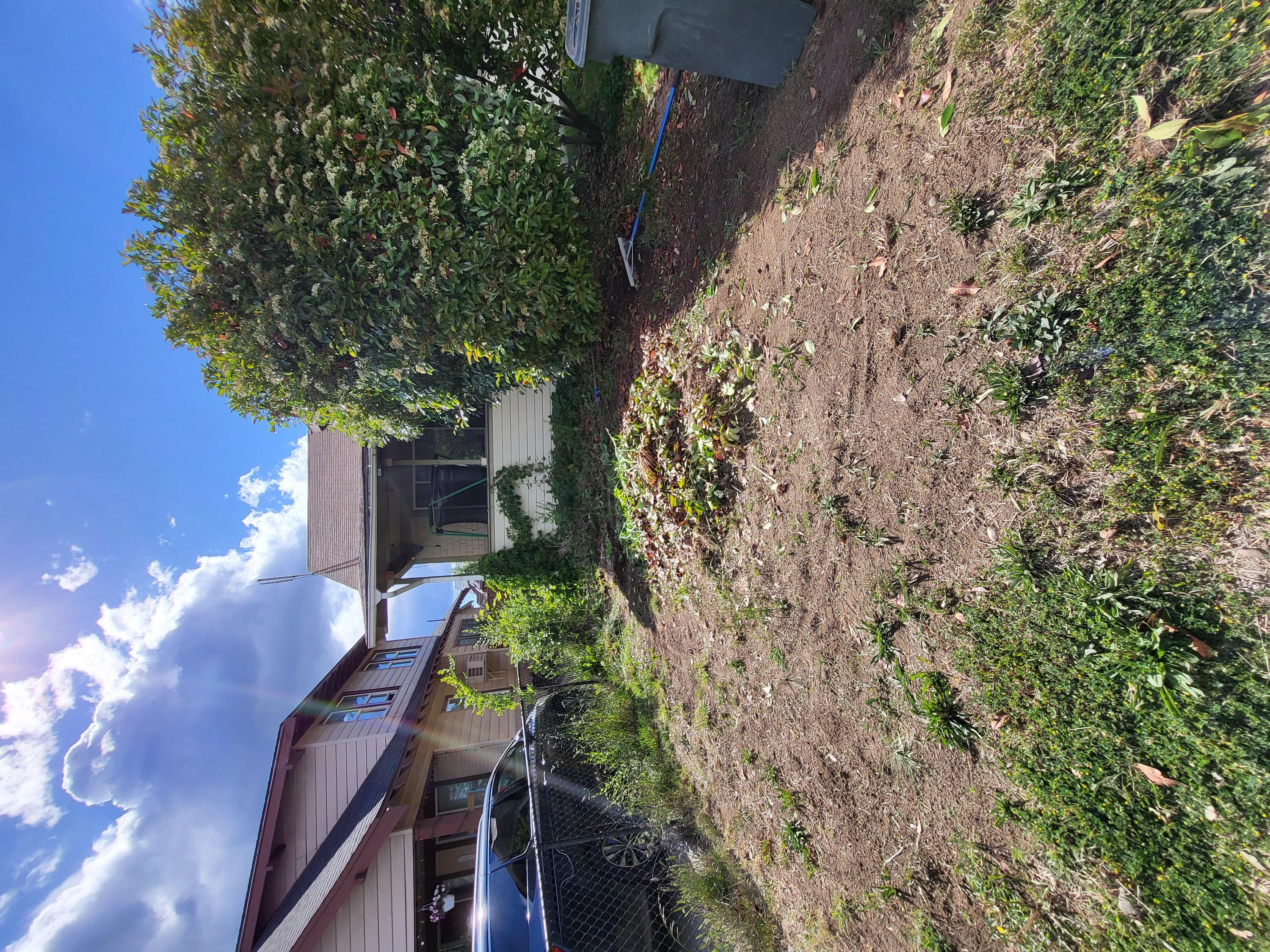 Before Front Yard Refresh — Yakima