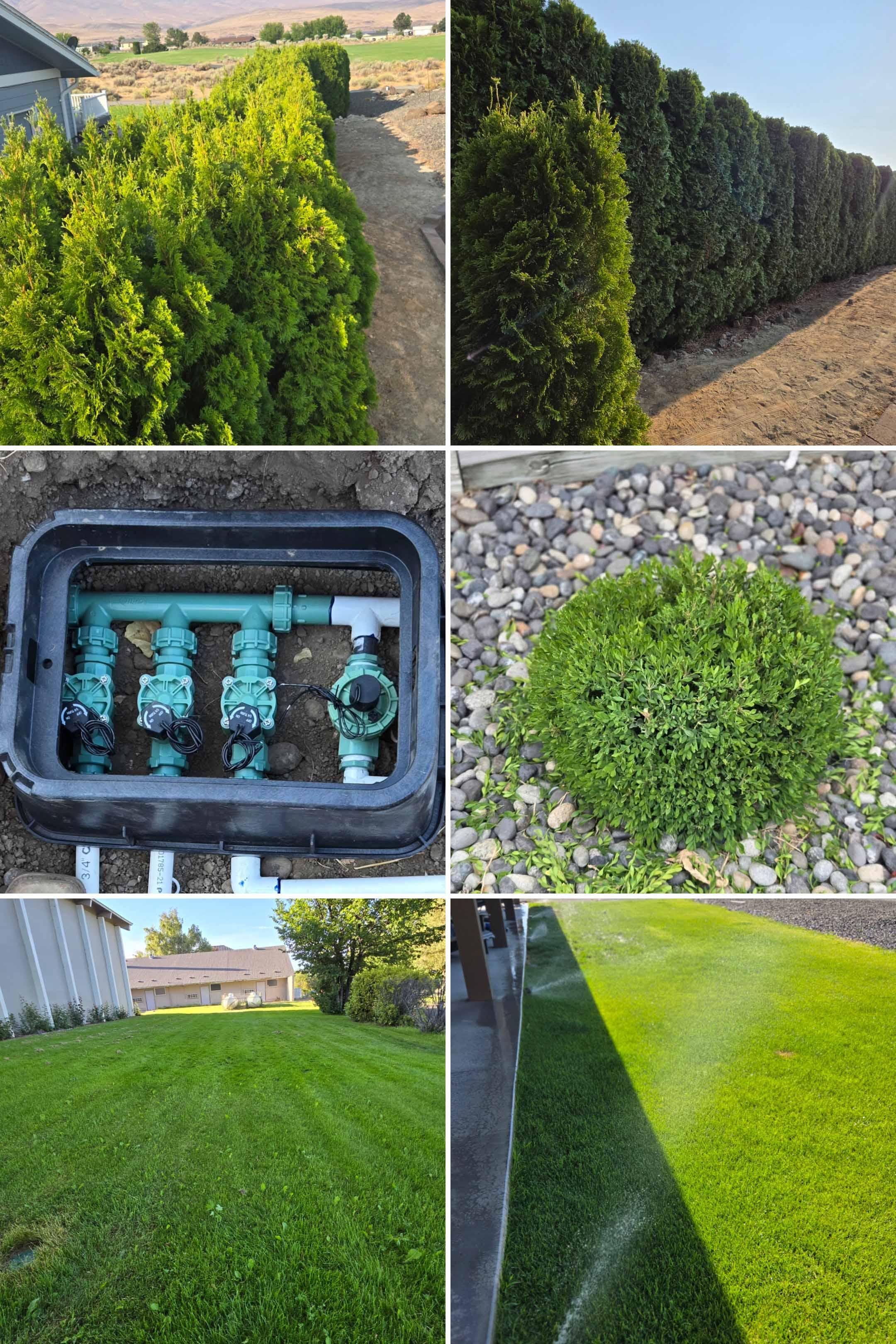 Irrigation project photo 9