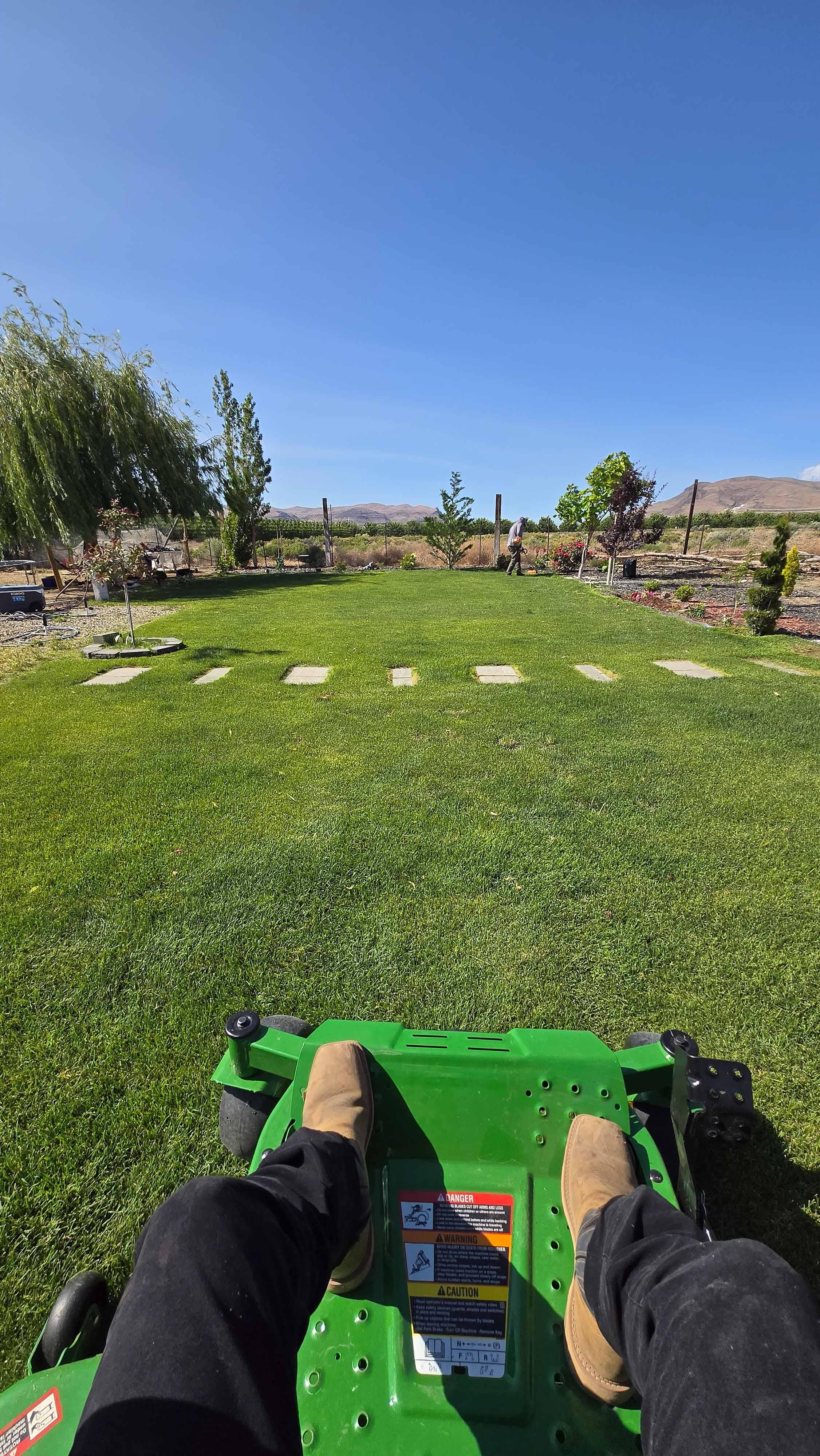 Lawn project photo 1