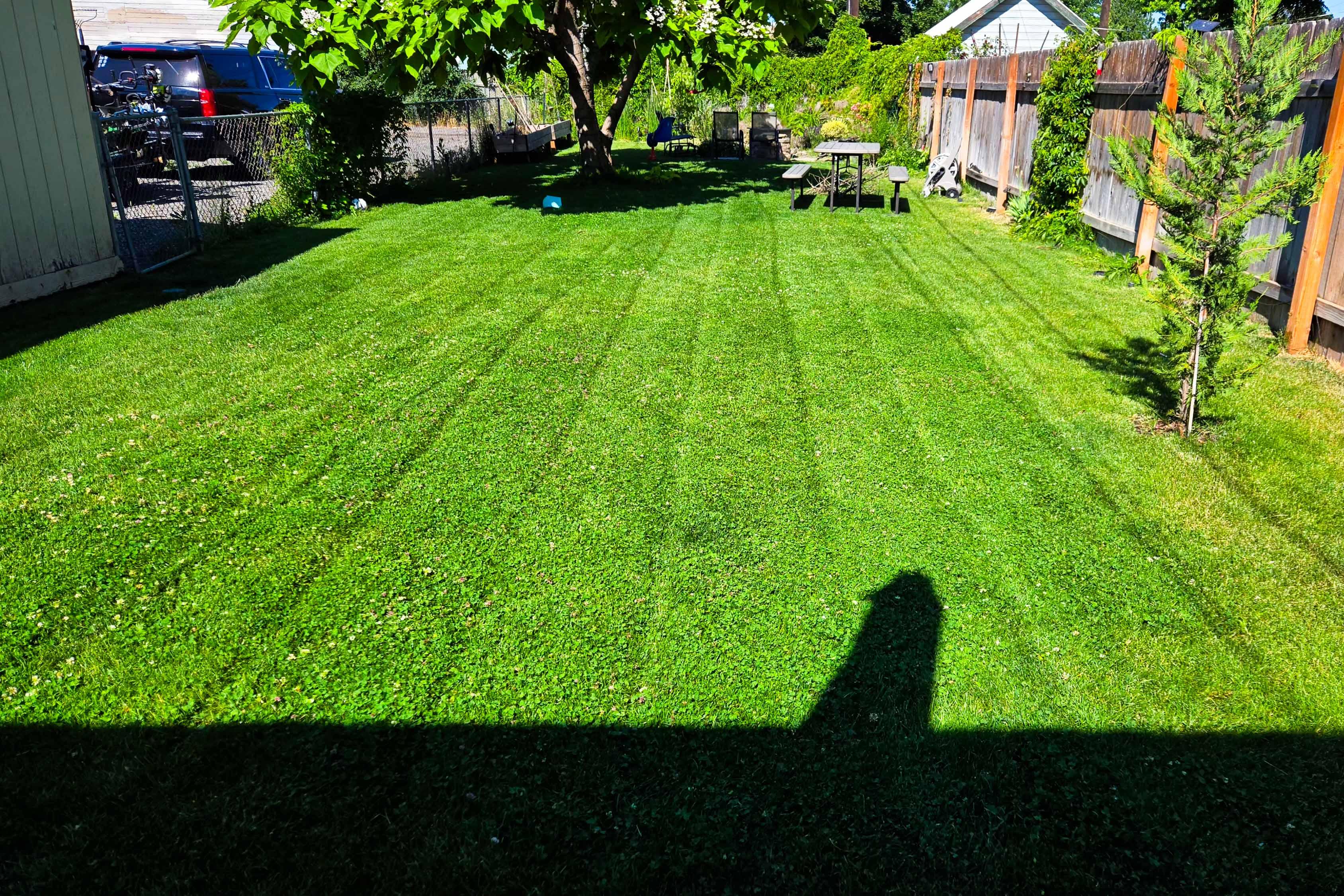 Lawn project photo 2
