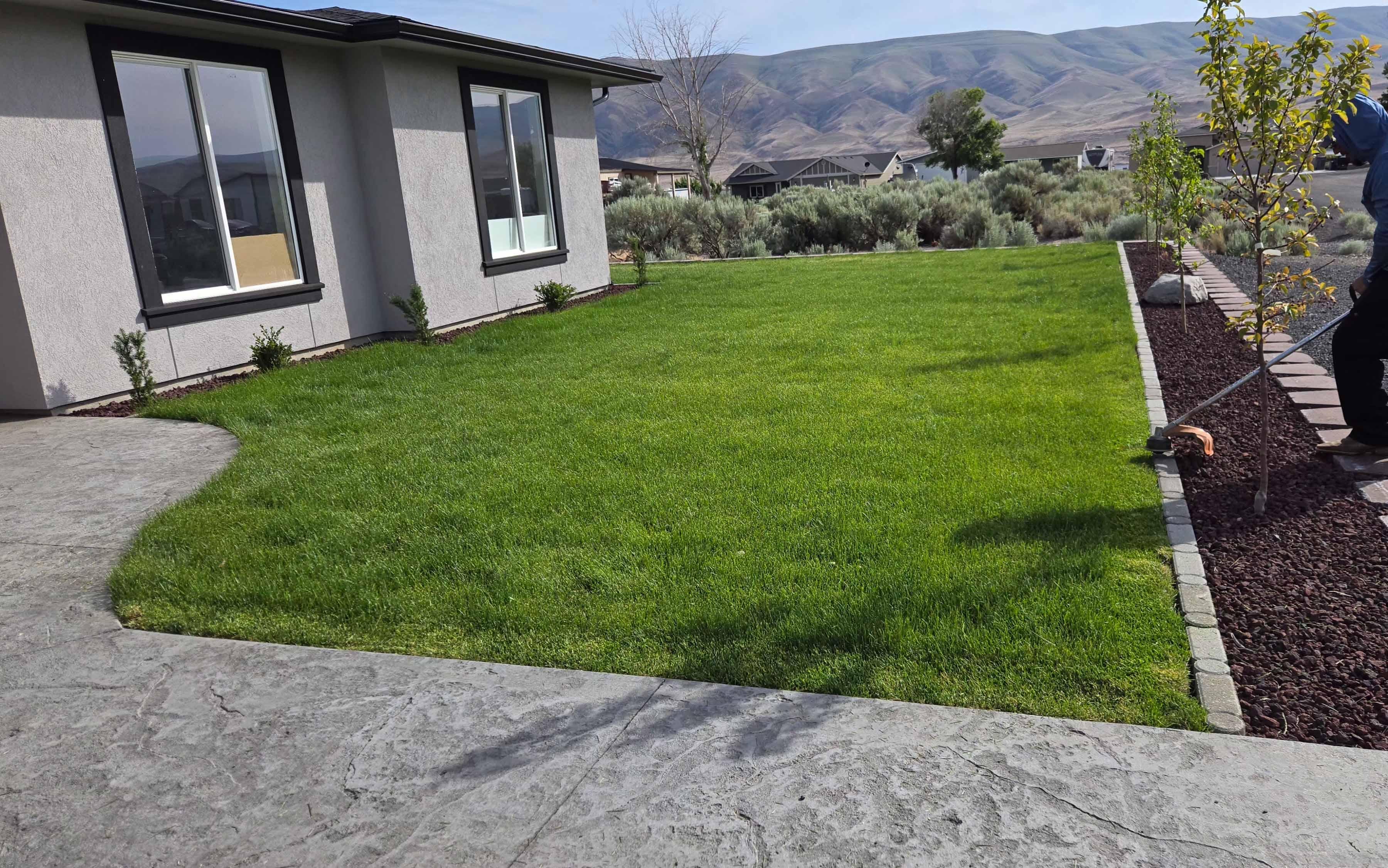 Lawn project photo 3