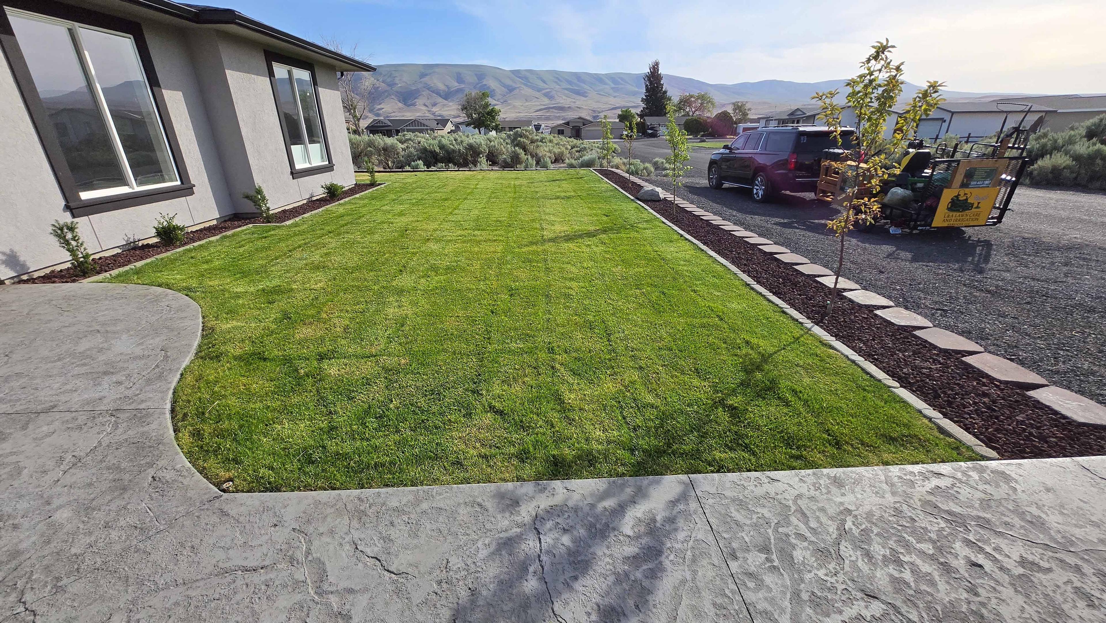 Lawn project photo 4