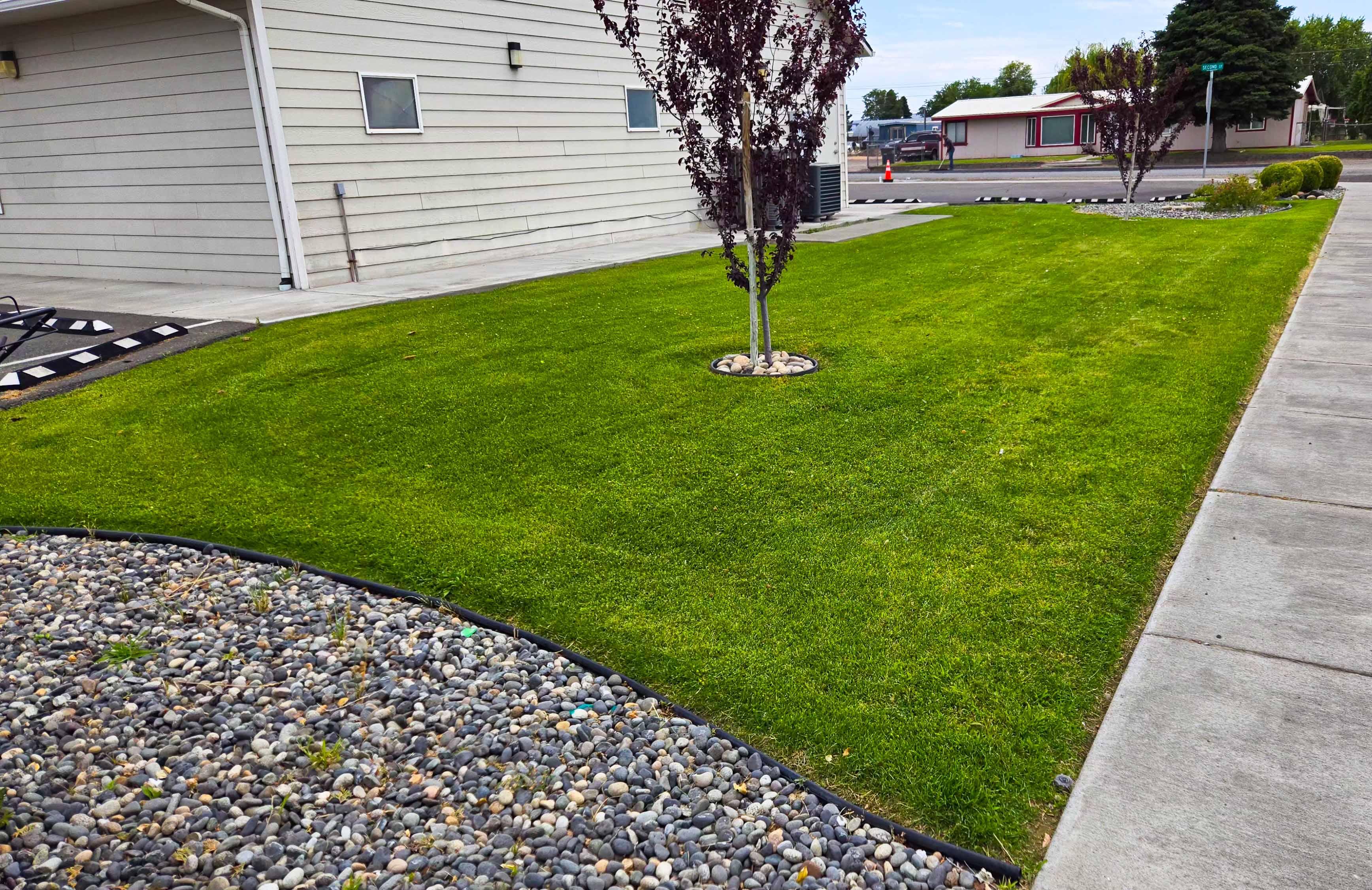 Lawn project photo 5