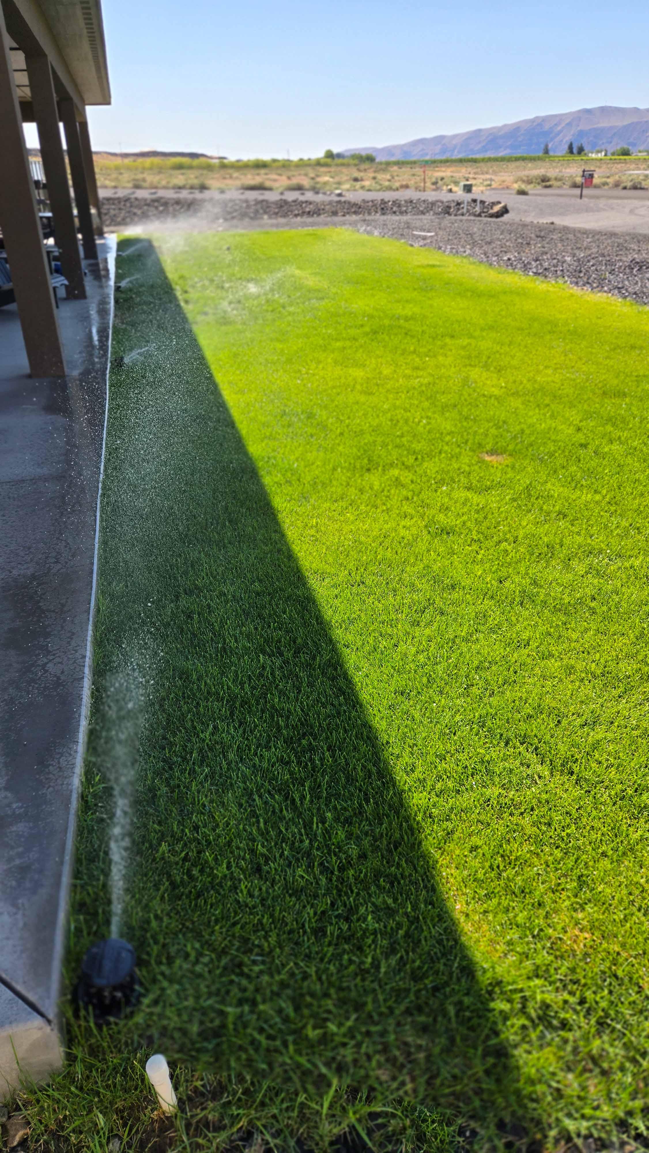 Lawn project photo 6