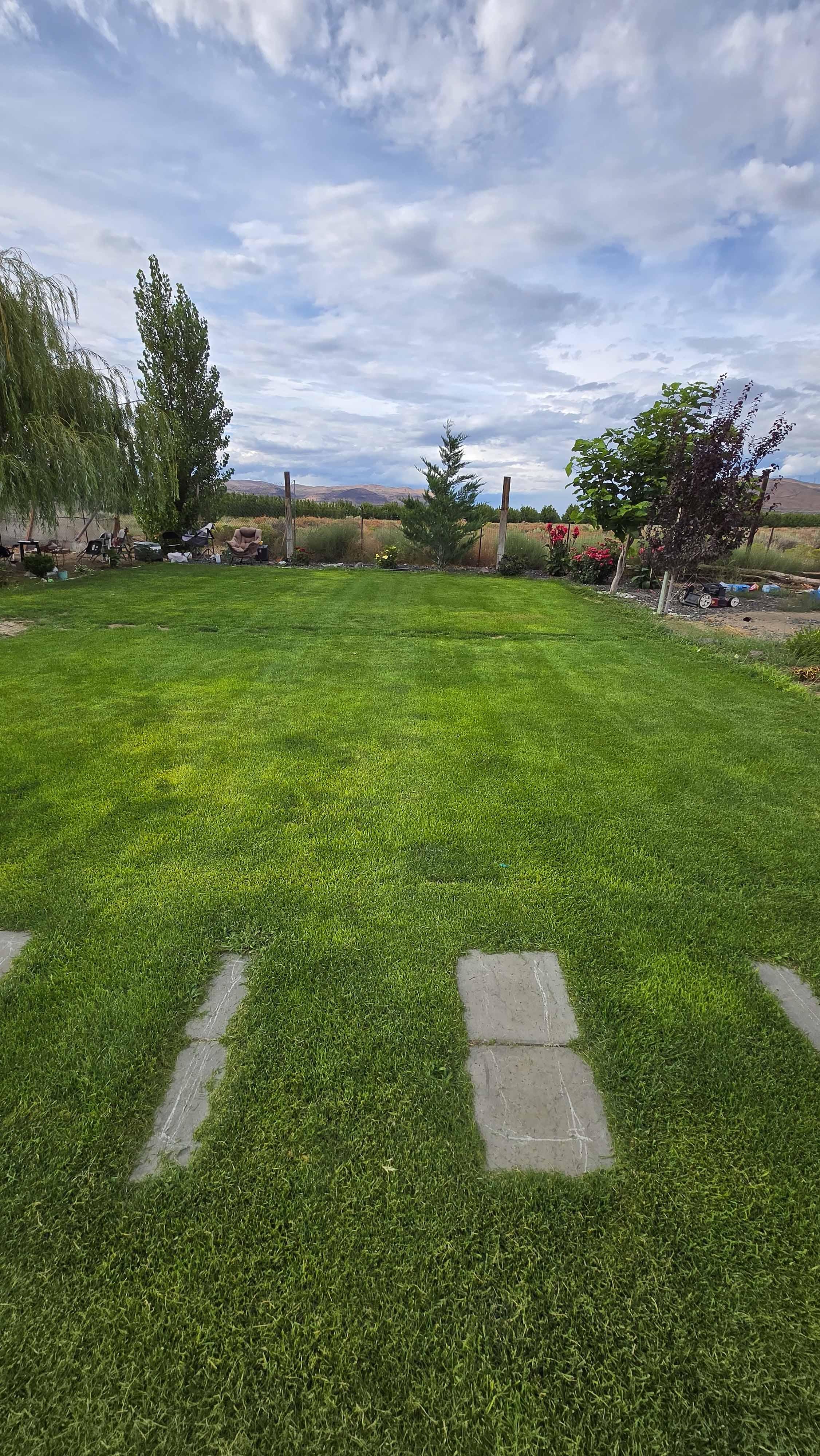 Lawn project photo 7