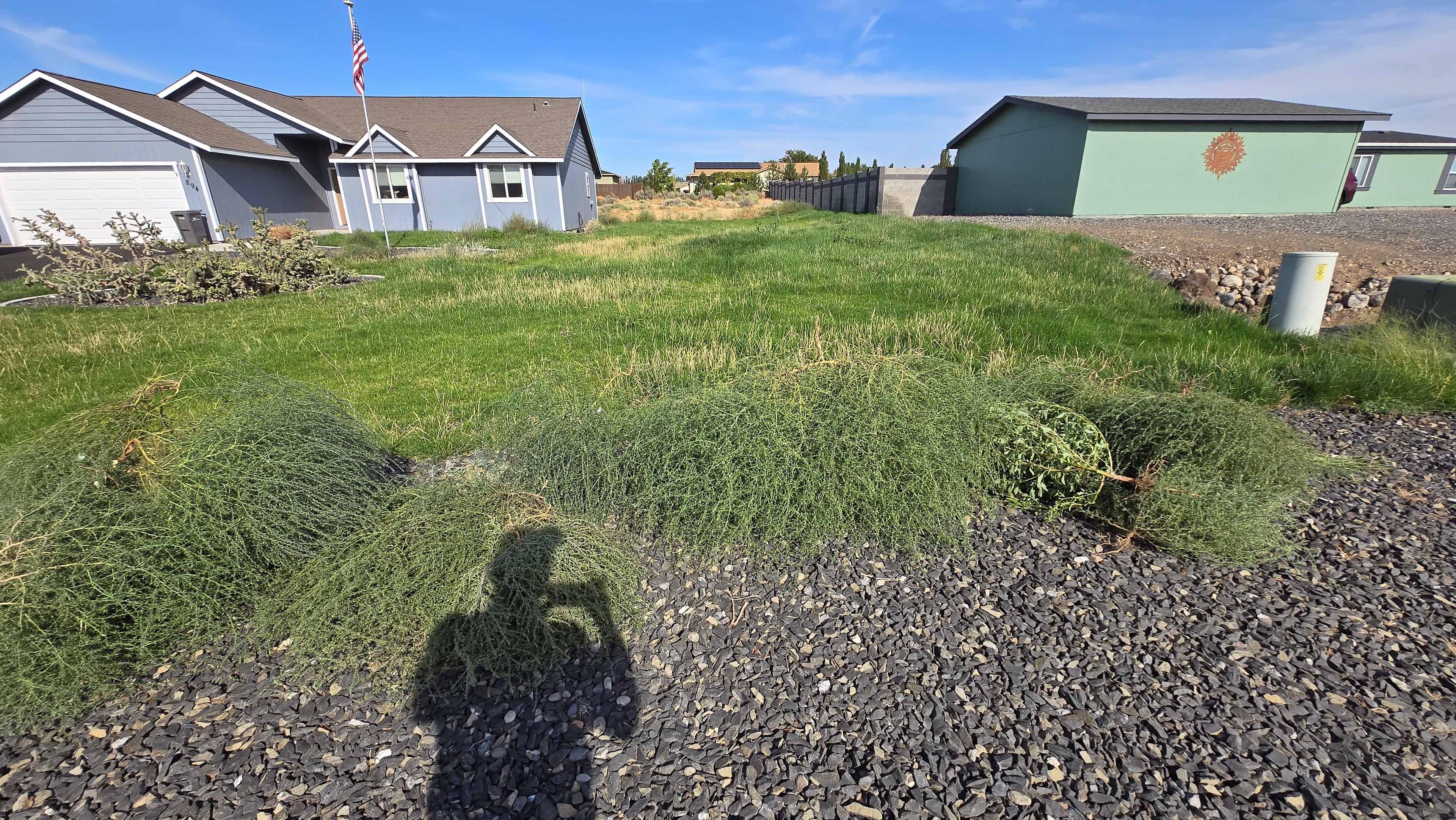 Lawn project photo 8