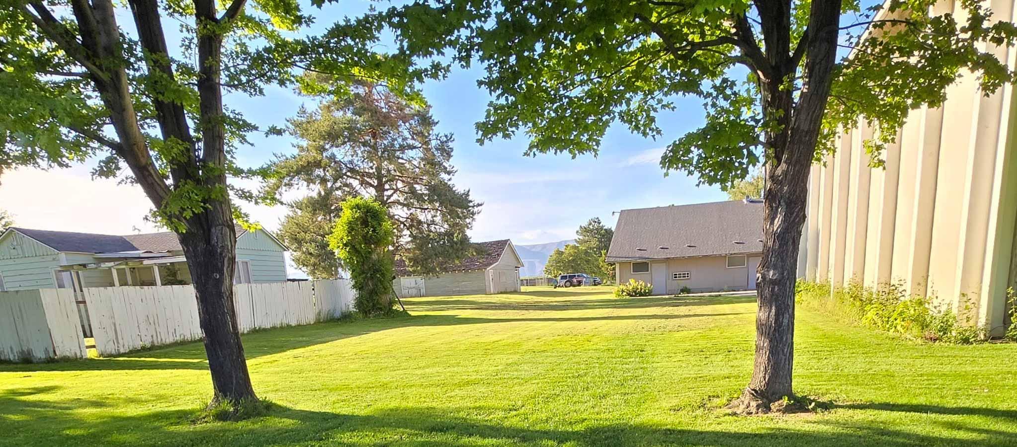 Lawn project photo 9