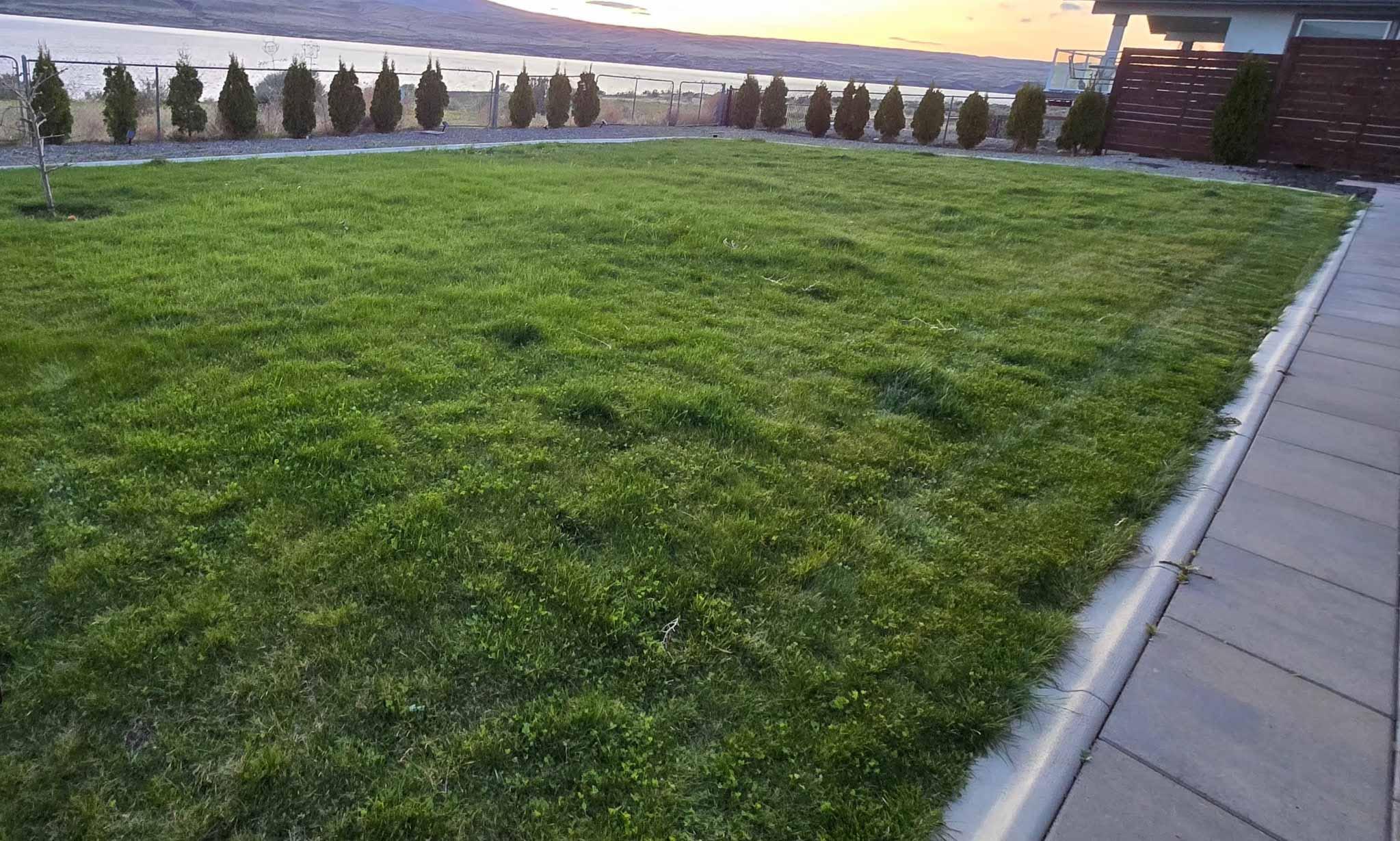 Lawn project photo 11