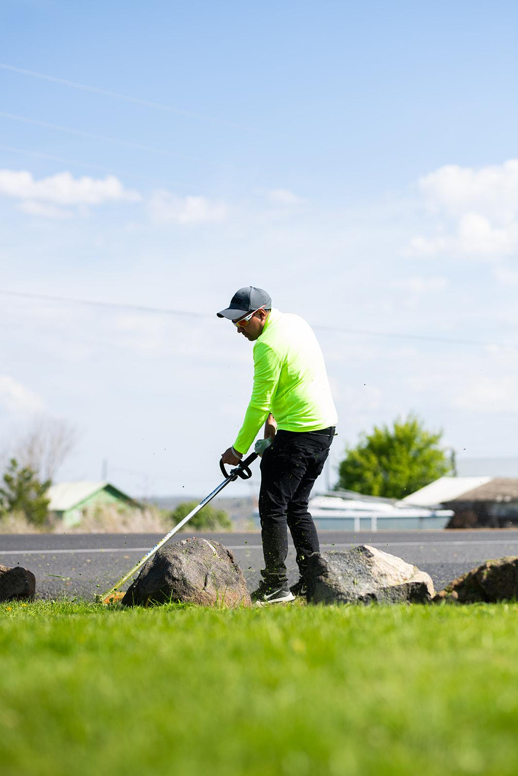 Lawn project photo 12