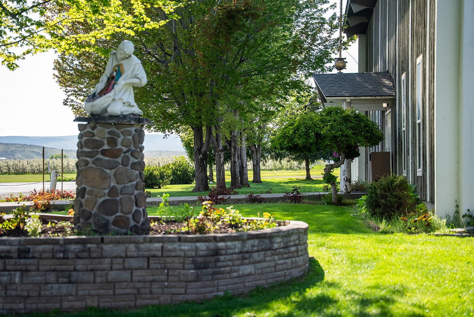 Lawn project photo 16