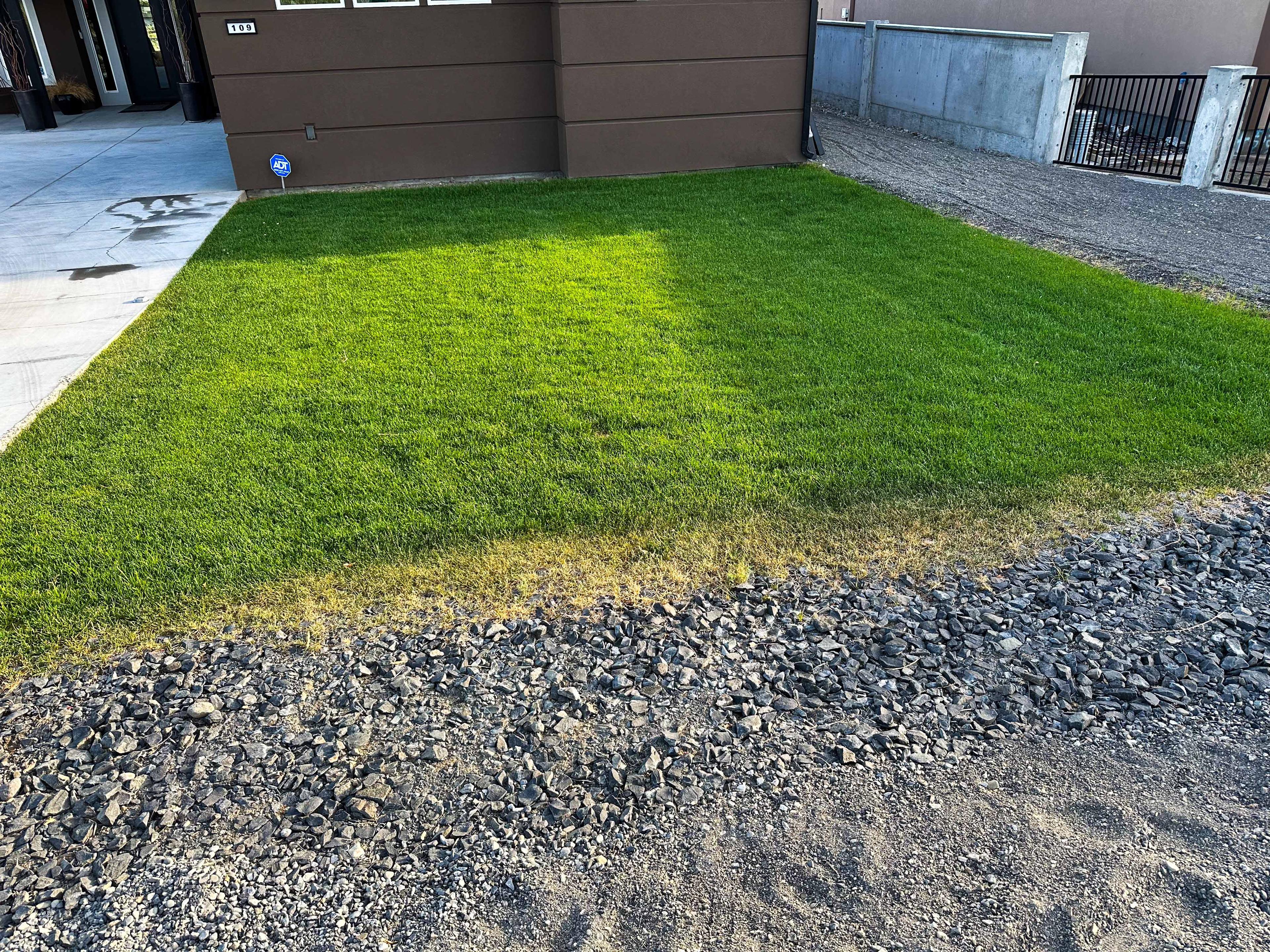 Lawn project photo 18