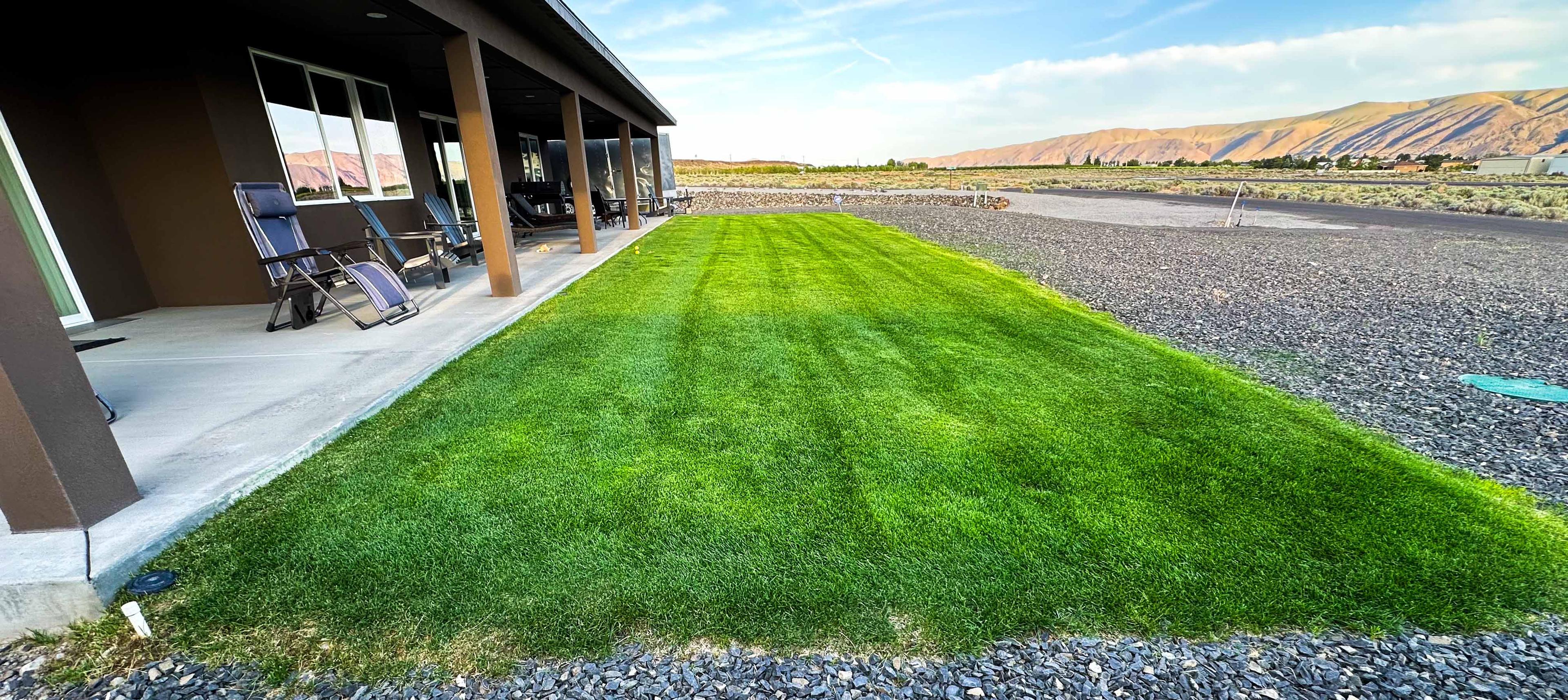 Lawn project photo 19