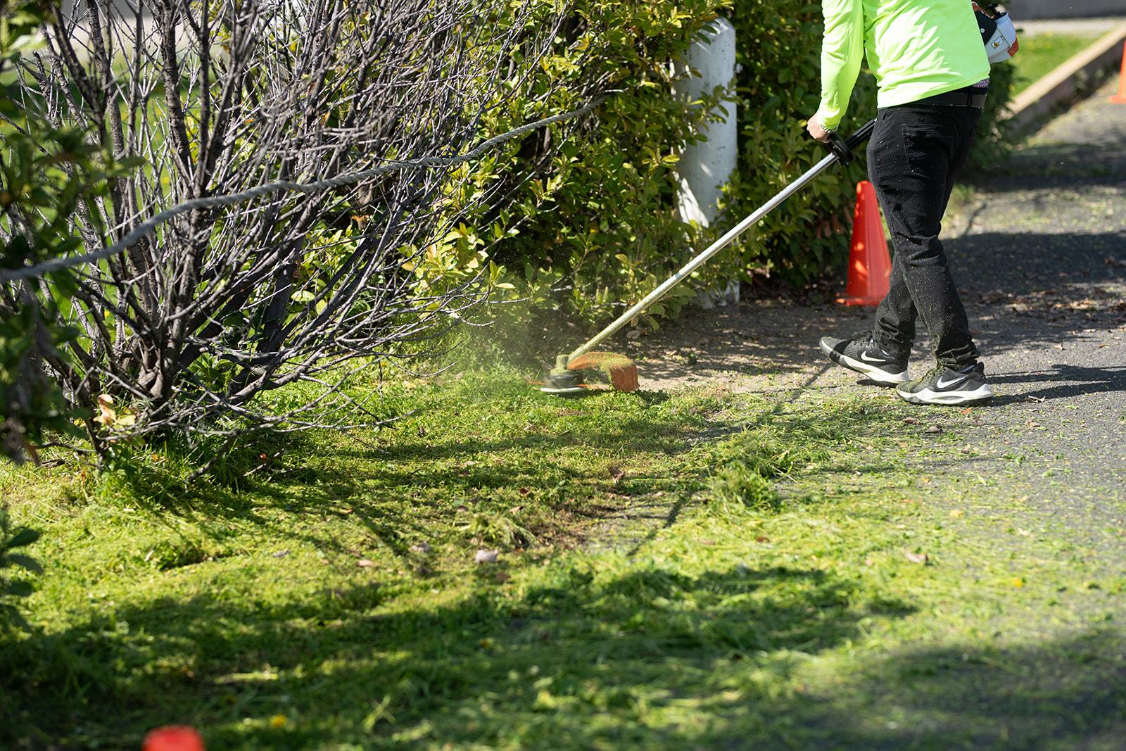 Professional lawn care equipment